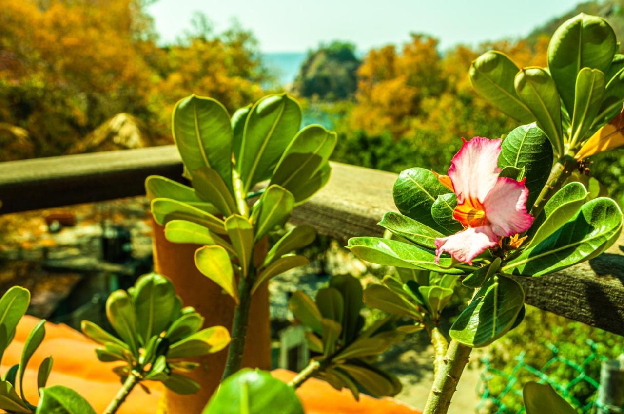 Hotel Capy Puerto Ángel Εξωτερικό φωτογραφία